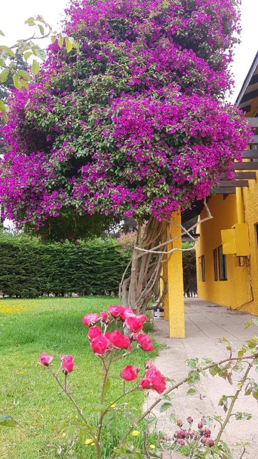 Casa Felice Guest House La Serena Exterior photo