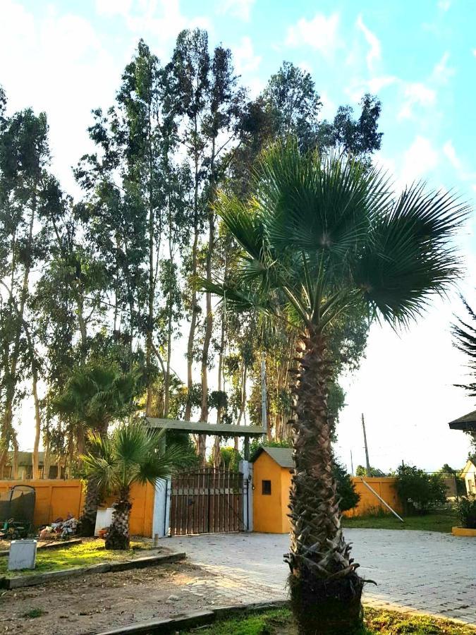 Casa Felice Guest House La Serena Exterior photo
