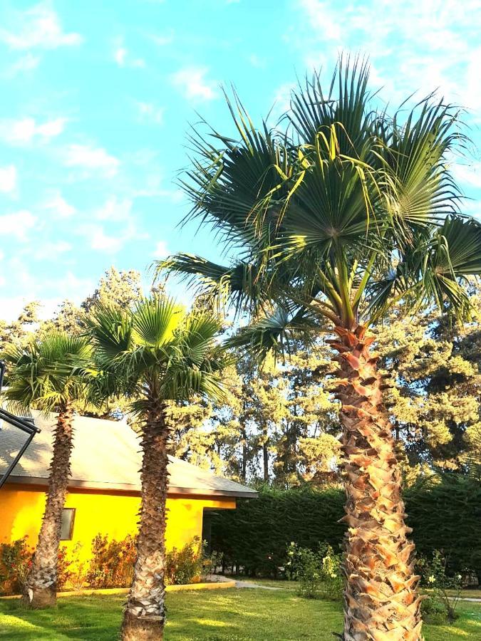 Casa Felice Guest House La Serena Exterior photo