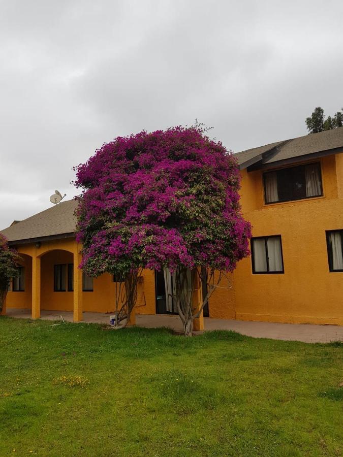 Casa Felice Guest House La Serena Exterior photo
