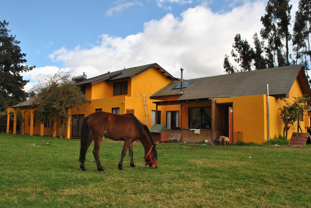Casa Felice Guest House La Serena Exterior photo