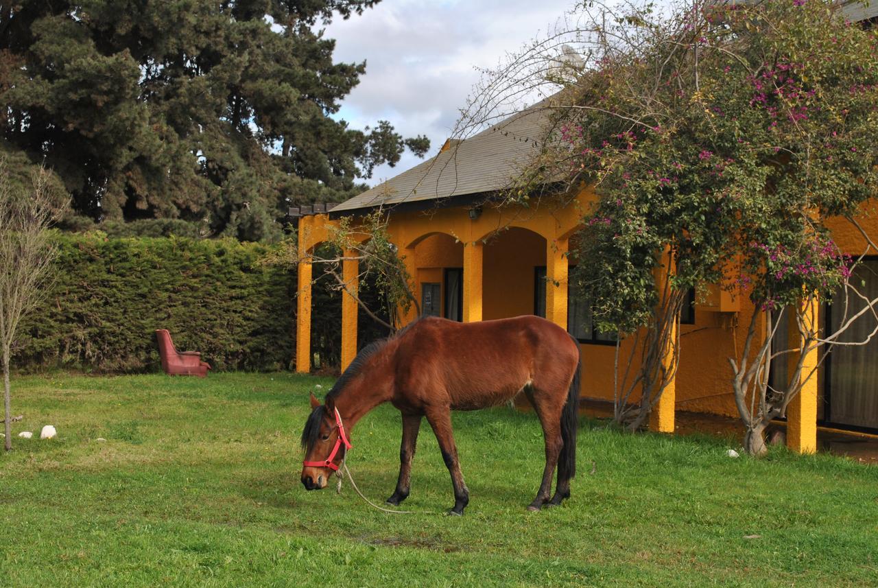Casa Felice Guest House La Serena Exterior photo